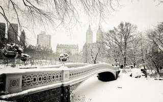 Картинка Зима в Центральном парке (Нью-Йорк)