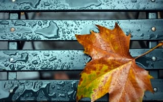 Картинка Осенний лист на скамейке