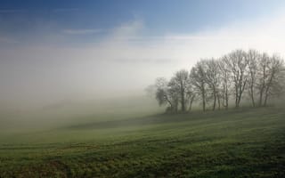 Картинка Туманное раннее утро
