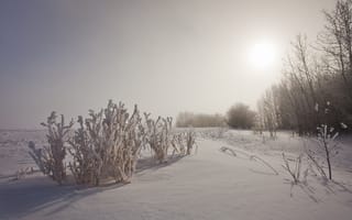 Картинка Солнце над зимним полем