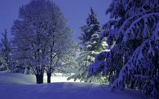 Картинка Зимний вечер