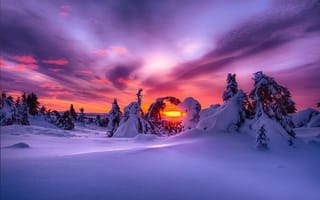 Картинка Зимний закат