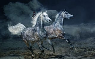 Картинка Скачущие кони