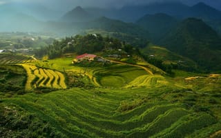 Картинка Рисовые террасы, Вьетнам
