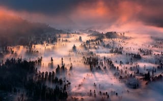 Картинка Вечерний туман над лесом