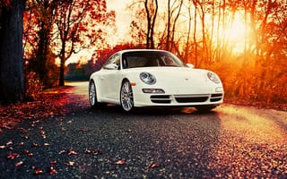 Картинка Porsche 911 Carrera