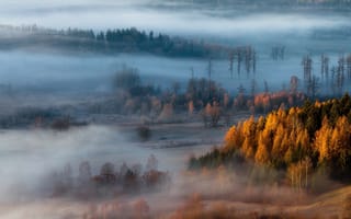 Картинка Туманная осень