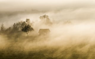 Картинка Осенний туман