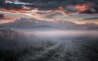 Картинка Поле, горы и туман на закате