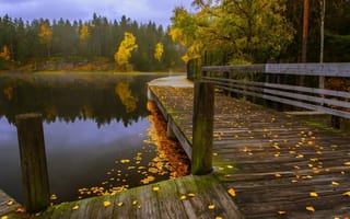 Картинка Деревянный мостик вдоль осеннего озера
