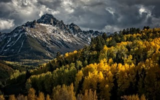 Картинка Осенний лес и горы