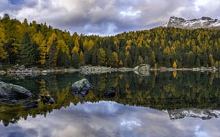 Картинка Осенний лес отражается в озере