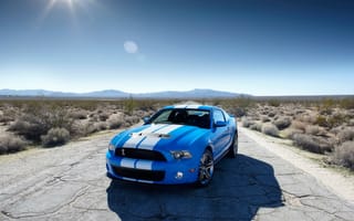 Картинка Ford Mustang Shelby GT500