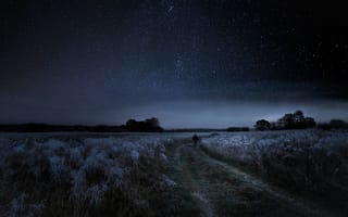 Картинка Дорога в поле под звездным небом