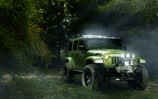 Обои Jeep в лесу