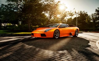 Обои Оранжевый Lamborghini Murcielago