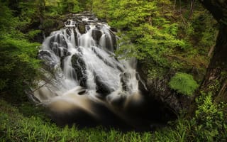 Картинка Каскадный водопад в лесу