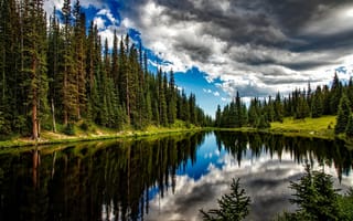 Обои лес, облака, отражение, lake, озеро, reflection, ель, spruce, forest, clouds