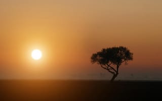Картинка Закат в Африке