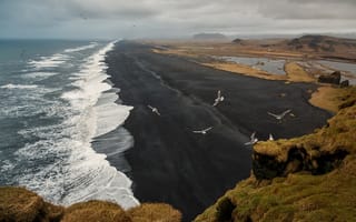 Картинка пляж, черный песок, исландия, черный пляж, чайка, море, dyrholaey