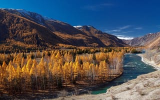 Обои лес, россия, река, осень, алтай, пейзаж, горы