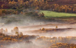 Картинка лес, шотландия, осень, холмы, туман