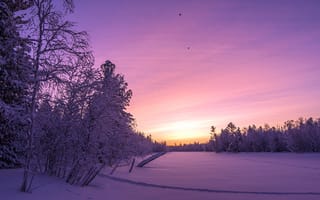 Картинка закат, зима, россия, тарко-сале, ямало-ненецкий автономный округ, снег