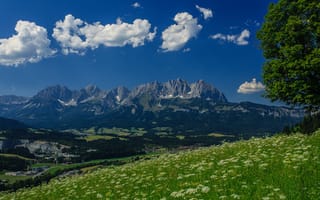 Картинка трава, горы, поле, кайзер, кайзеровские горы, облака, австрия