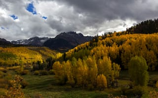 Картинка лес, осень, облака, горы