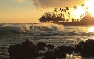 Картинка закат, тропики, волна, океан, пальма, камни