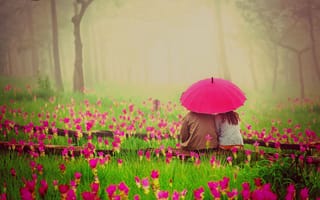 Картинка лес, туман, трава, парочка, романтика, цветы, луг, зонт, парк, любовь