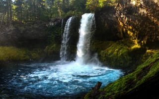 Картинка водопад, мох, тонгариро, новая зеландия, лес