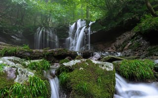 Картинка водопад, лес, мох, камни