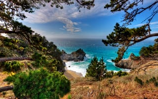 Картинка пляж, сша, julia pfeiffer burns state park, море, бухта, океан, калифорния, деревья, небо
