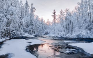 Картинка лес, pinewood, зима, снег, река, небо, россия