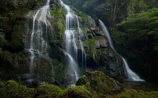 Картинка водопад, скала, лес, мох