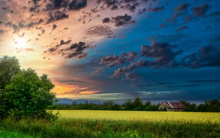Картинка закат, дерево, небо, поле, цветы, облака, природа