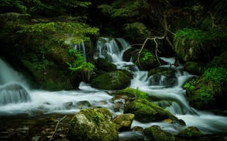 Картинка водопад, деревья, камни, мох, природа