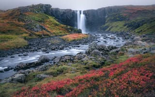 Картинка водопад, цветы, исландия, туман, селйяландсфосс, природа