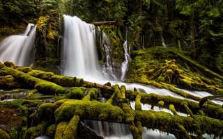 Картинка водопад, лес, природа, ручей, мох, горы, creek