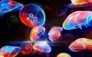 Картинка медуза, jellyfish, светящиеся, подводный мир, красочный