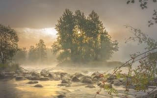 Картинка деревья, река, облака, финляндия, камни, утро, туман