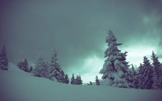 Картинка гора, деревья, зима, на открытом воздухе, природа, простуда, снег, тишина