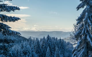 Картинка горы, зима, зимний пейзаж, природа, снег, сосны