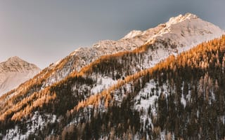 Картинка Альпы, вершина, гора, горный пик, деревья, дневной свет, живописный, зима, лед, лес, на открытом воздухе, пейзаж, простуда, путешествовать, рок, снег, снимок снизу