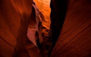 Картинка каньон антилопы, каньон, твердая древесина, древесина, свет
