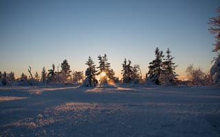 Картинка восход, деревья, закат, зима, погода, природа, простуда, снег