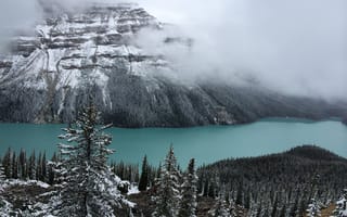 Картинка гора, живописный, зима, на открытом воздухе, озеро, пейзаж, природа, простуда, снег, туман, туманный