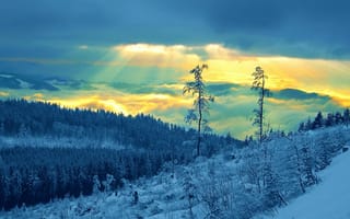 Картинка зима, снег, облако, дикая местность, гора
