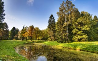Картинка парк, природа, дерево, вода, отражение